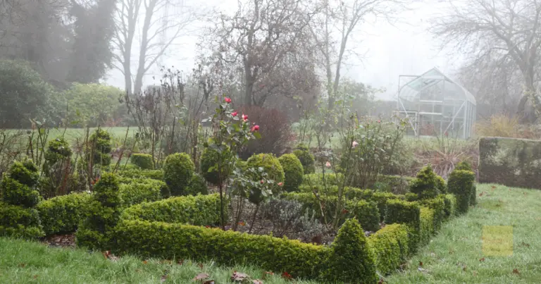 Tips to Present Your Home in Autumn and Winter