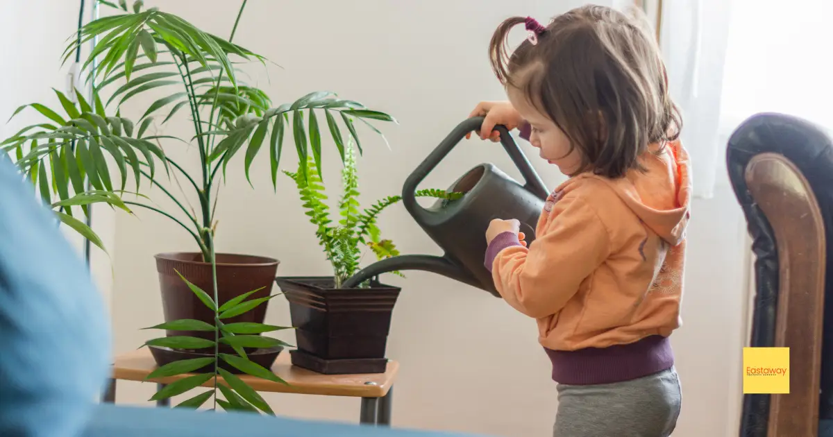 Small child watering houseplants. Featured image for article: Best Plants for Houses in Stamford and Rutland by Eastaway Property