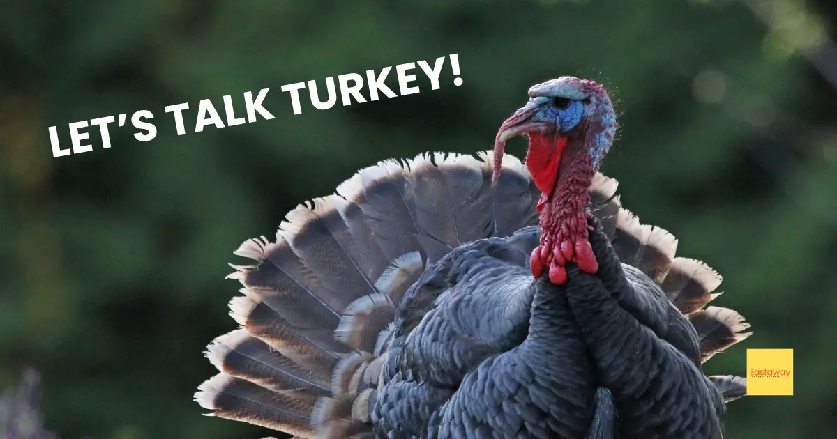 iMAGE OF A TURKEY WITH TEXT LETS TALK TURKEY