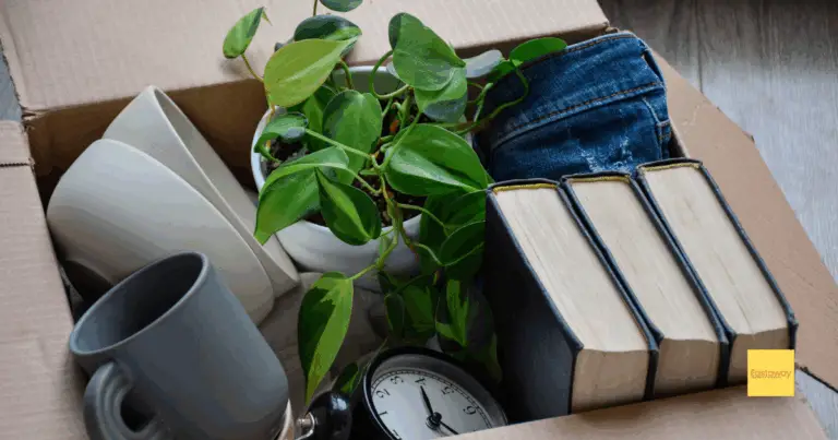 Essential Moving Services You Need to Know About