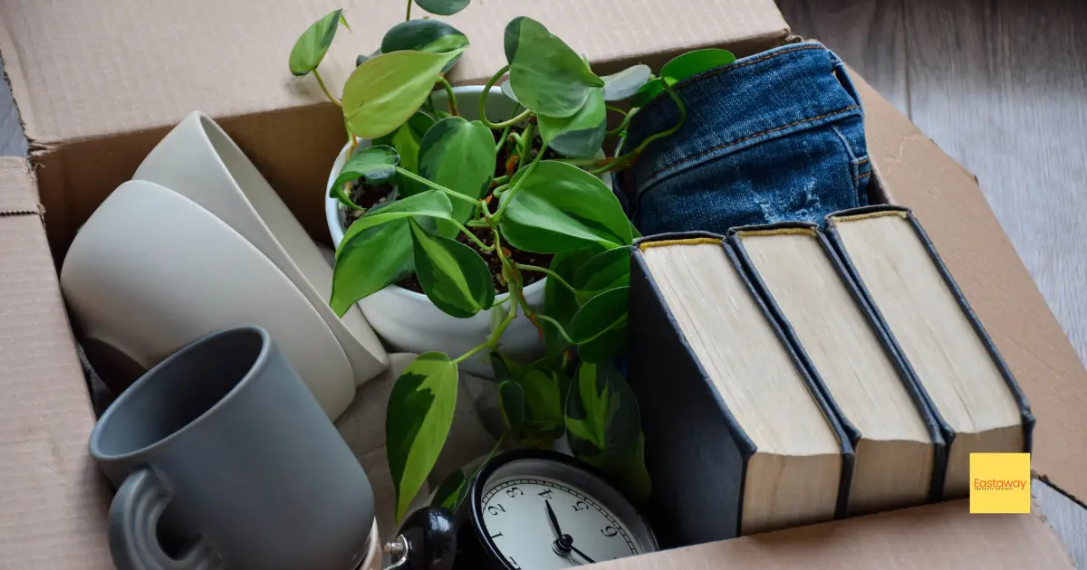 Essential Moving Services You Need to Know About